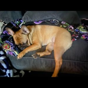 Meet your Posher, Cassandra